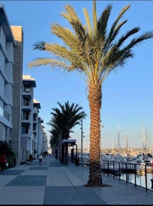 Marina Appartement With Beach View Los Angeles Eksteriør billede
